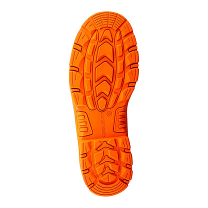 BVIZ6_BKOR_Sole